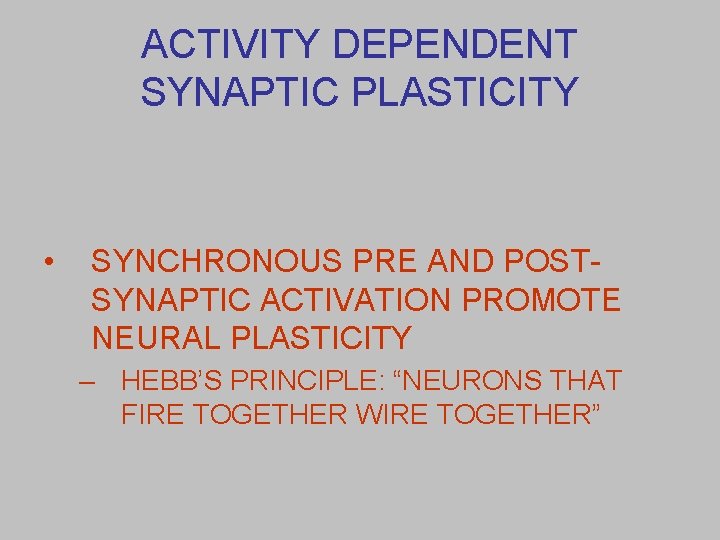ACTIVITY DEPENDENT SYNAPTIC PLASTICITY • SYNCHRONOUS PRE AND POSTSYNAPTIC ACTIVATION PROMOTE NEURAL PLASTICITY –