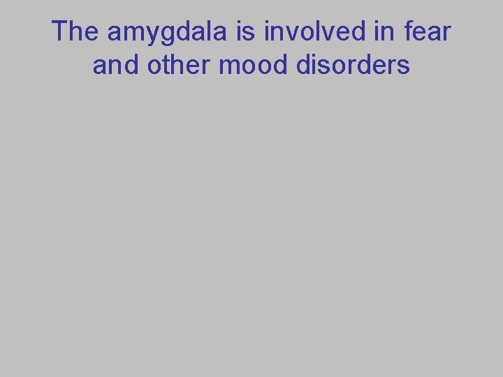 The amygdala is involved in fear and other mood disorders 