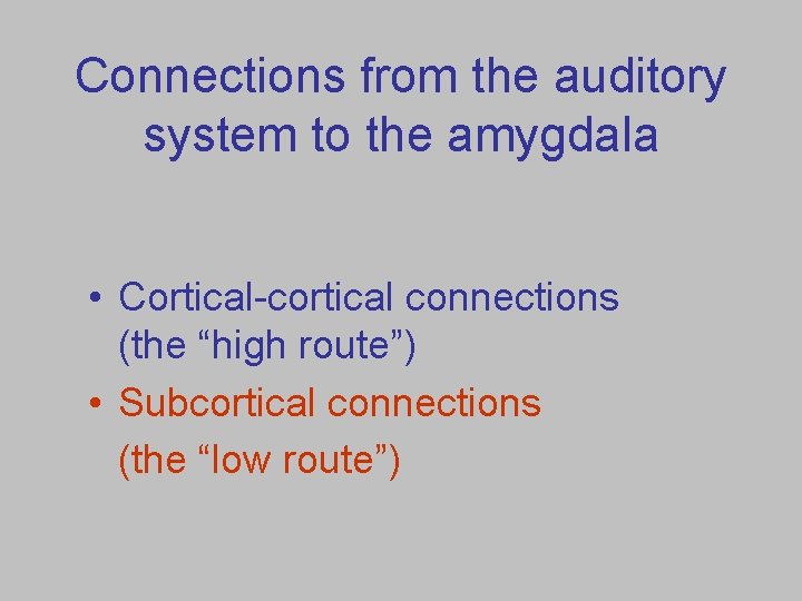 Connections from the auditory system to the amygdala • Cortical-cortical connections (the “high route”)