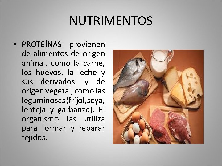 NUTRIMENTOS • PROTEÍNAS: provienen de alimentos de origen animal, como la carne, los huevos,