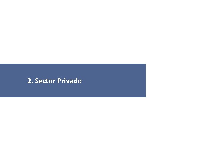 2. Sector Privado 