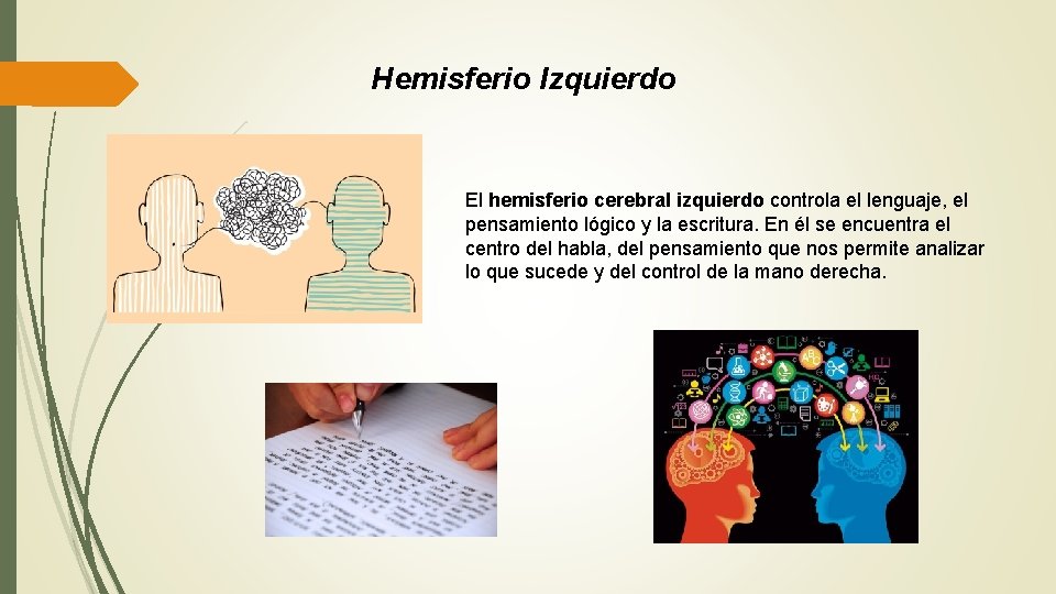 Hemisferio Izquierdo El hemisferio cerebral izquierdo controla el lenguaje, el pensamiento lógico y la