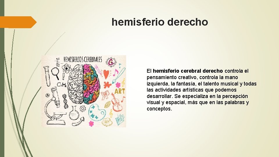 hemisferio derecho El hemisferio cerebral derecho controla el pensamiento creativo, controla la mano izquierda,