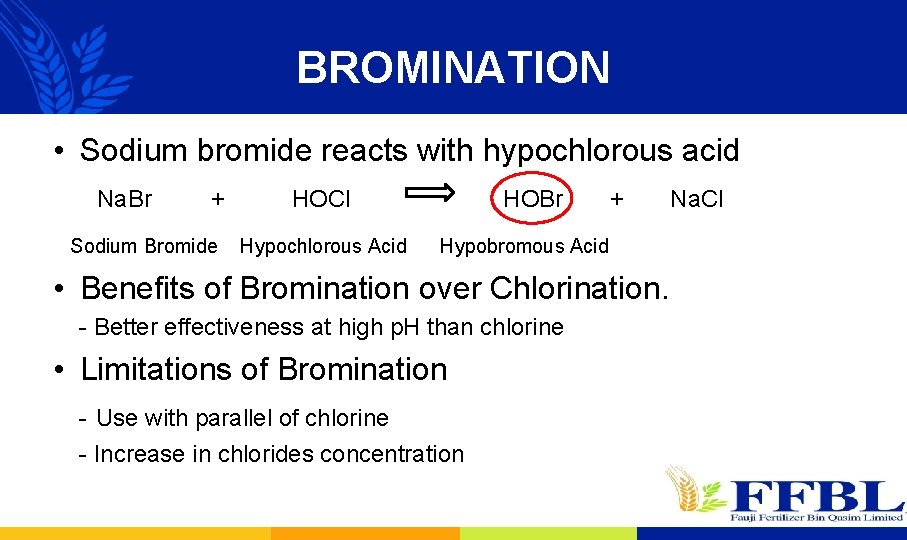 BROMINATION • Sodium bromide reacts with hypochlorous acid Na. Br + Sodium Bromide HOCl