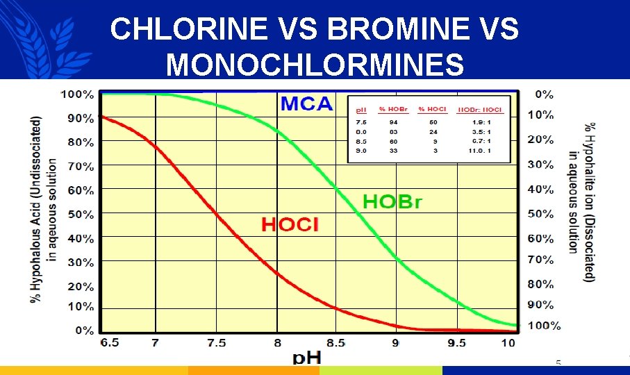 CHLORINE VS BROMINE VS MONOCHLORMINES 