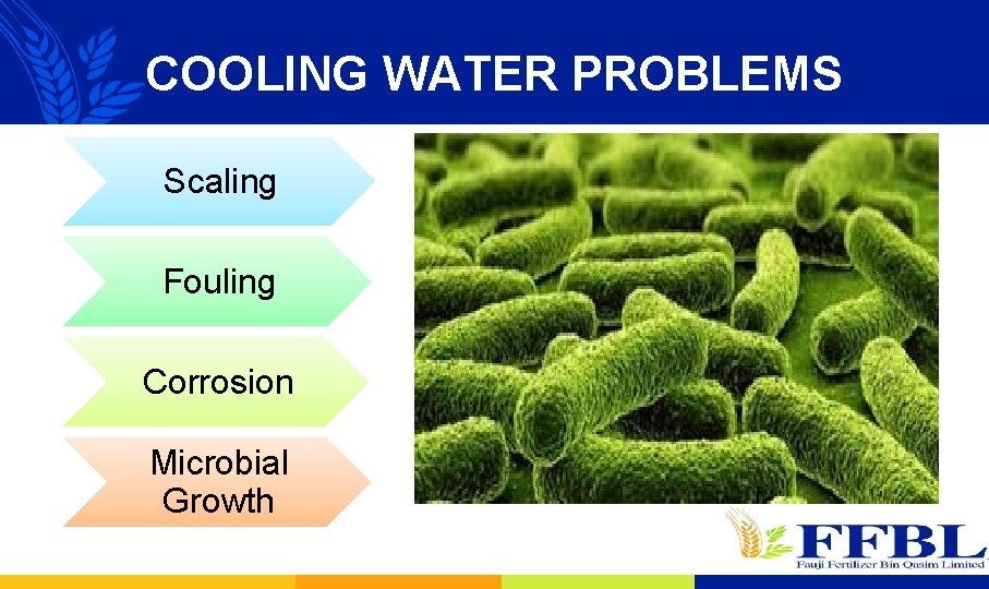 COOLING WATER PROBLEMS Scaling Fouling Corrosion Microbial Growth 