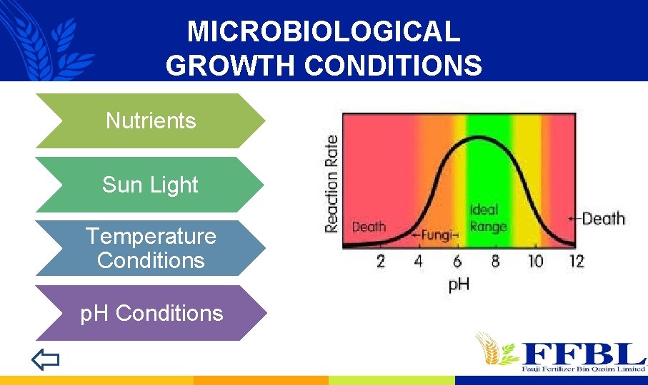 MICROBIOLOGICAL GROWTH CONDITIONS Nutrients Sun Light Temperature Conditions p. H Conditions 
