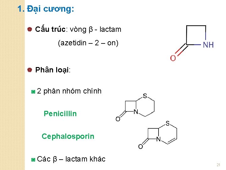 1. Đại cương: | Cấu trúc: vòng β - lactam (azetidin – 2 –