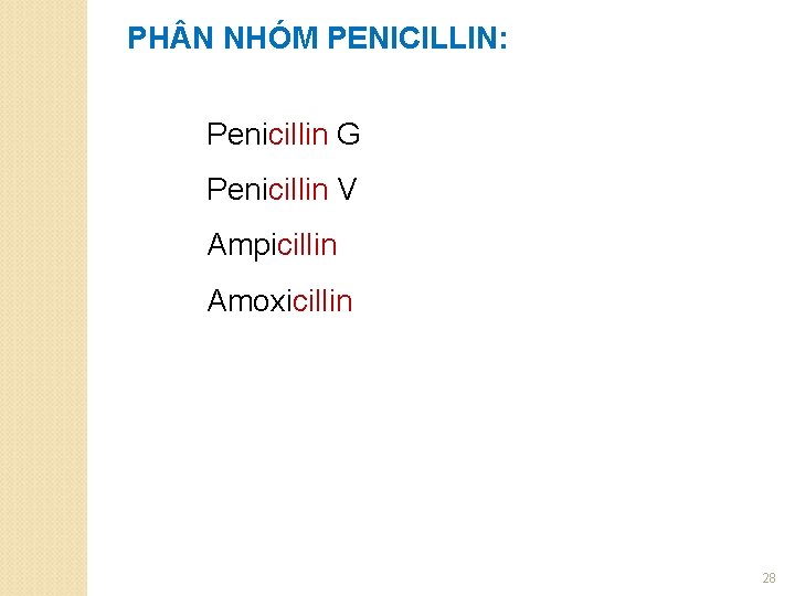 PH N NHÓM PENICILLIN: Penicillin G Penicillin V Ampicillin Amoxicillin 28 