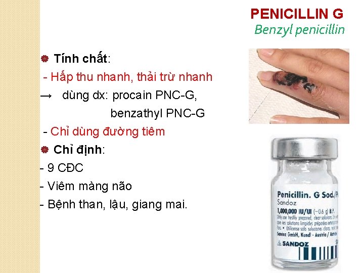 PENICILLIN G Benzyl penicillin Tính chất: - Hấp thu nhanh, thải trừ nhanh →