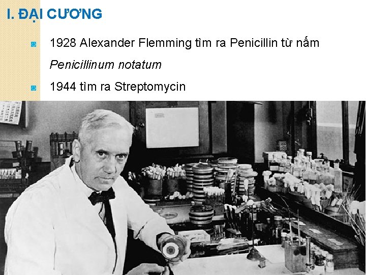 I. ĐẠI CƯƠNG ◙ 1928 Alexander Flemming tìm ra Penicillin từ nấm Penicillinum notatum