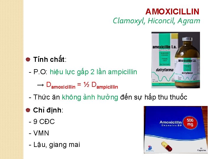 AMOXICILLIN Clamoxyl, Hiconcil, Agram | Tính chất: - P. O: hiệu lực gấp 2