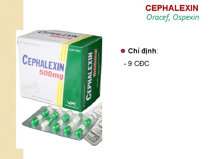 CEPHALEXIN Oracef, Ospexin | Chỉ định: - 9 CĐC 