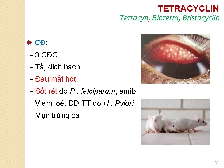 TETRACYCLIN Tetracyn, Biotetra, Bristacyclin | CĐ: - 9 CĐC - Tả, dịch hạch -