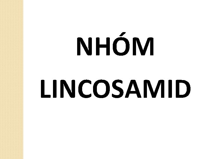 NHÓM LINCOSAMID 