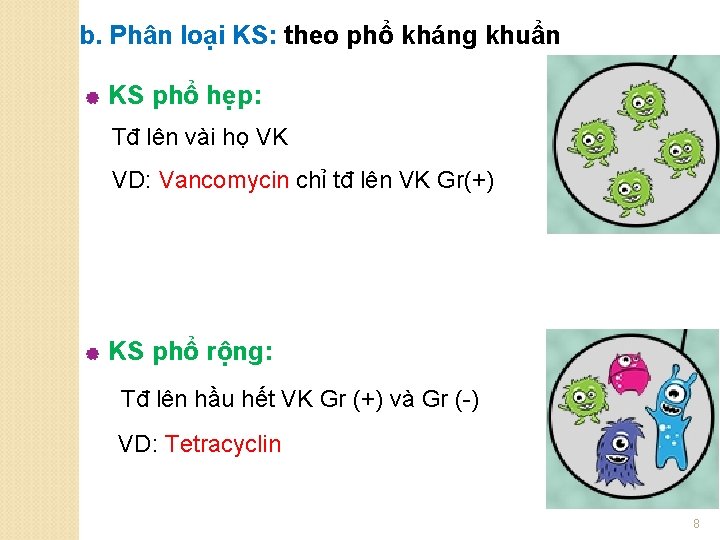 b. Phân loại KS: theo phổ kháng khuẩn | KS phổ hẹp: Tđ lên