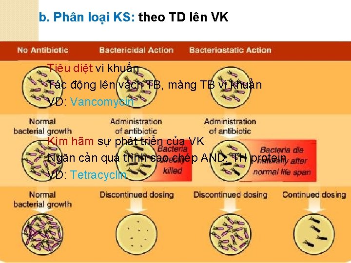 b. Phân loại KS: theo TD lên VK | KS diệt khuẩn: Tiêu diệt