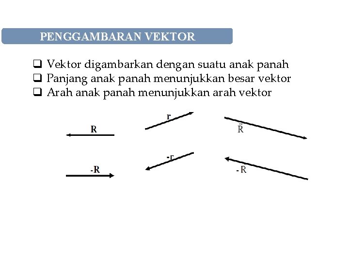 PENGGAMBARAN VEKTOR q Vektor digambarkan dengan suatu anak panah q Panjang anak panah menunjukkan