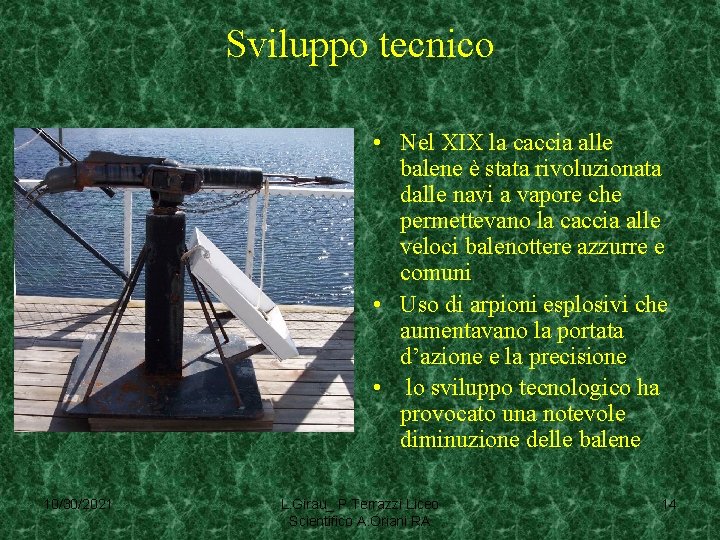 Sviluppo tecnico • Nel XIX la caccia alle balene è stata rivoluzionata dalle navi