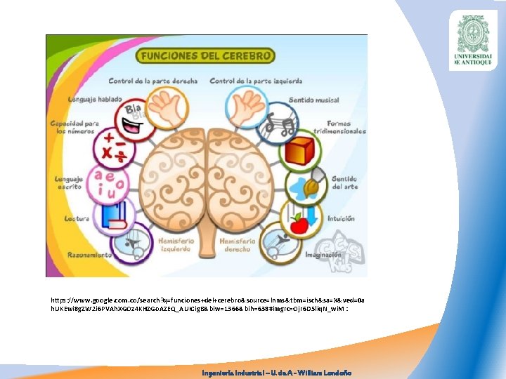 https: //www. google. com. co/search? q=funciones+del+cerebro&source=lnms&tbm=isch&sa=X&ved=0 a h. UKEwi 8 g. ZW 2 i