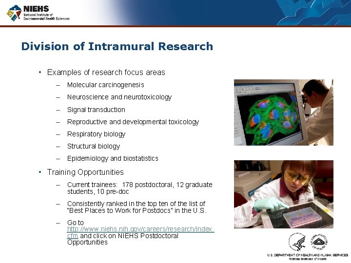 Division of Intramural Research • Examples of research focus areas – Molecular carcinogenesis –