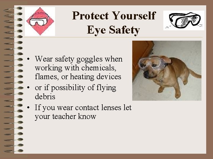 Protect Yourself Eye Safety • Wear safety goggles when working with chemicals, flames, or