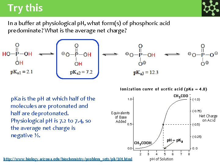 Try this In a buffer at physiological p. H, what form(s) of phosphoric acid
