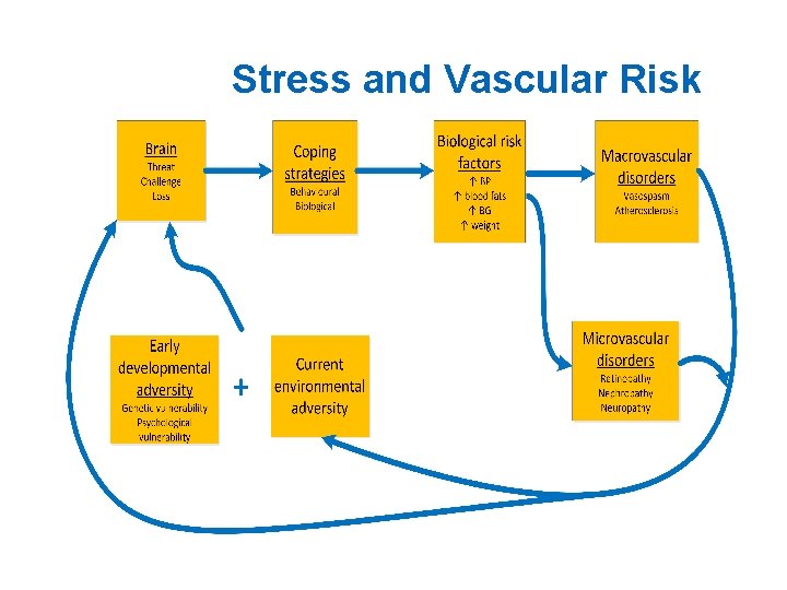 Stress and Vascular Risk 