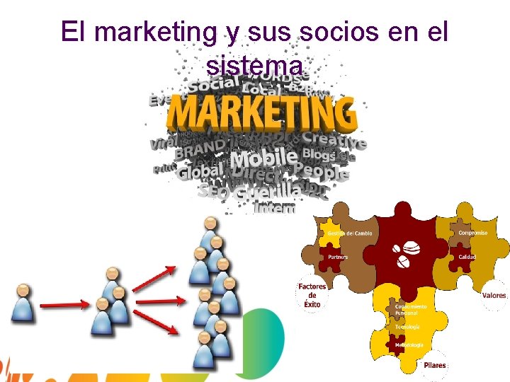 El marketing y sus socios en el sistema 