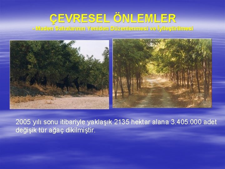 ÇEVRESEL ÖNLEMLER - Maden Sahalarının Yeniden Düzenlenmesi ve İyileştirilmesi 2005 yılı sonu itibariyle yaklaşık