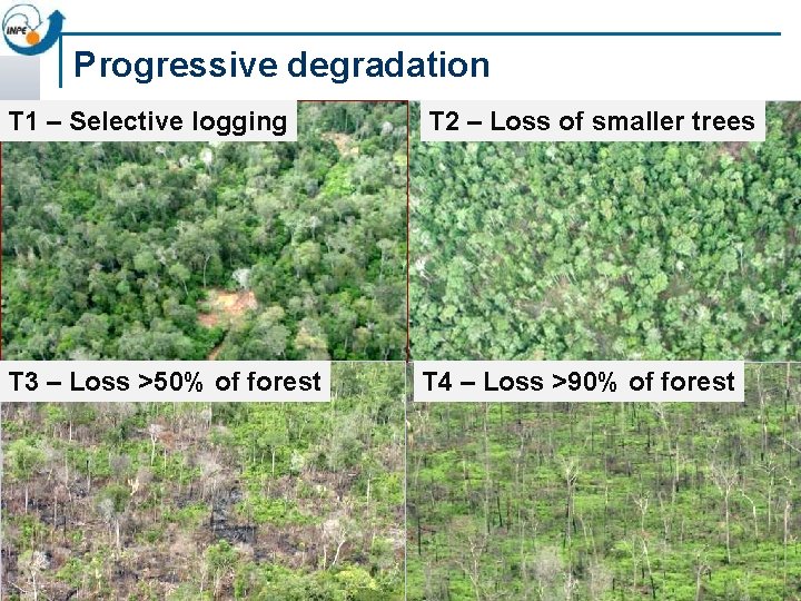 Progressive degradation T 1 – Selective logging T 2 – Loss of smaller trees