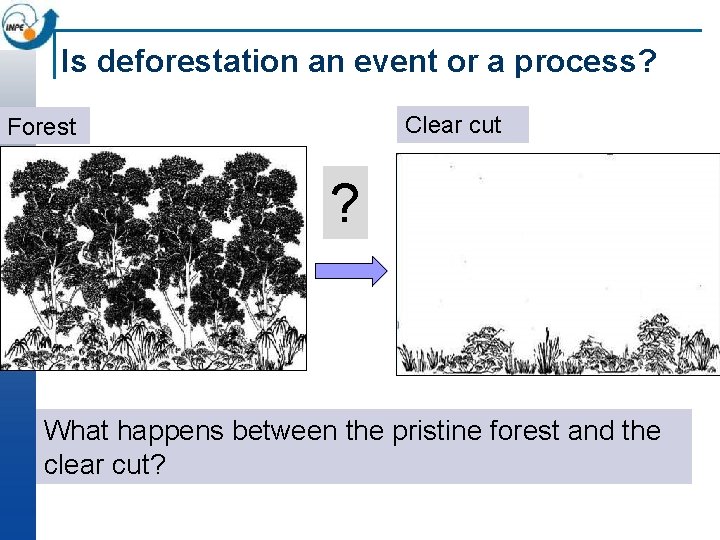 Is deforestation an event or a process? Clear cut Forest ? What happens between