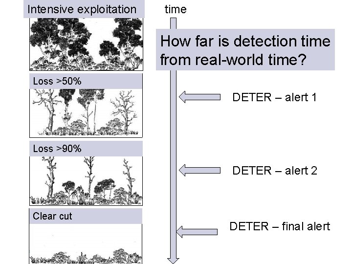 Exploração exploitation intensiva Intensive time How far is detection time from real-world time? Perda