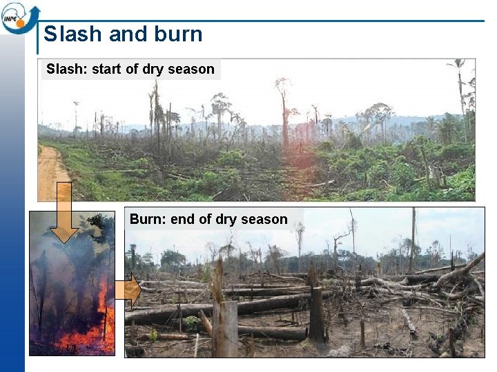 Slash and burn Slash: start of dry season Burn: end of dry season 