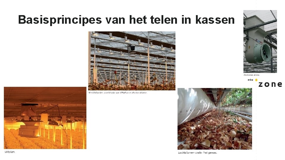 Basisprincipes van het telen in kassen 