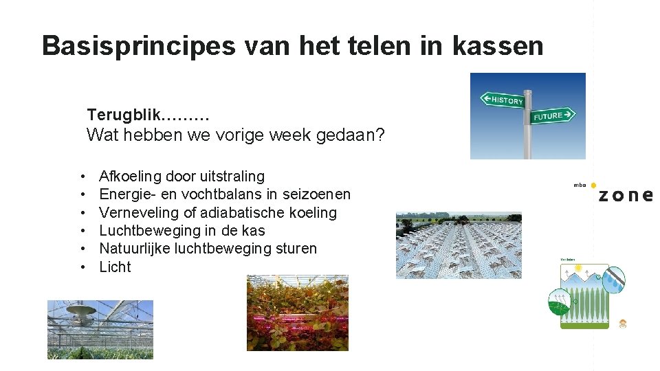 Basisprincipes van het telen in kassen Terugblik……… Wat hebben we vorige week gedaan? •