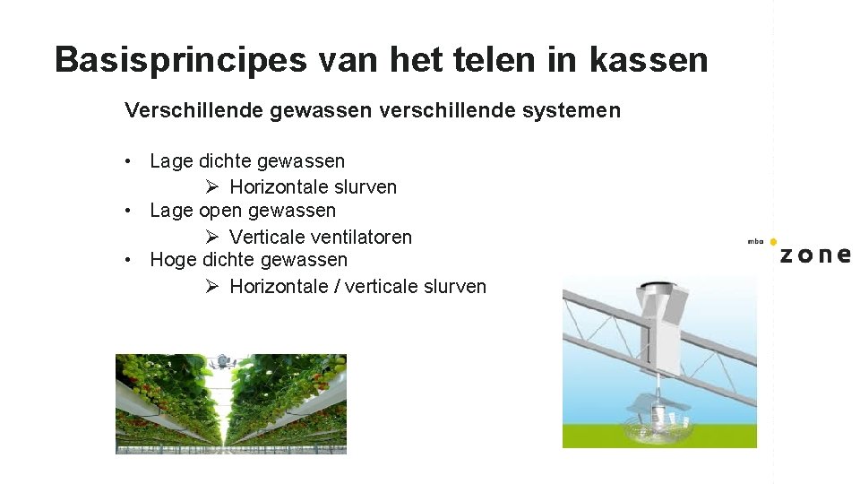 Basisprincipes van het telen in kassen Verschillende gewassen verschillende systemen • Lage dichte gewassen