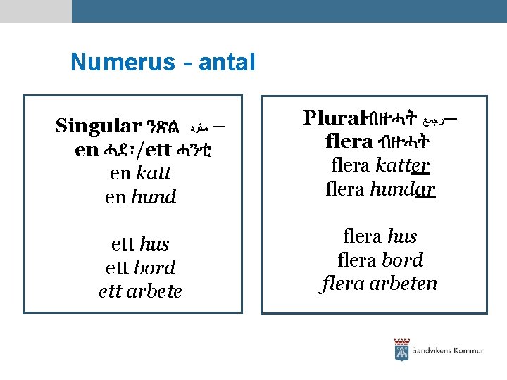 Numerus - antal Singular ንጽል – ﻣﻔﺮﺩ en ሓደ፡/ett ሓንቲ en katt en hund