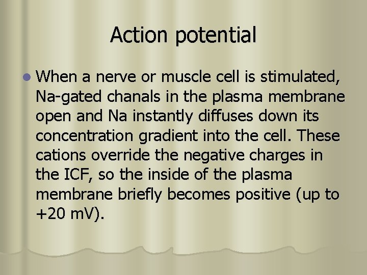 Action potential l When a nerve or muscle cell is stimulated, Na-gated chanals in