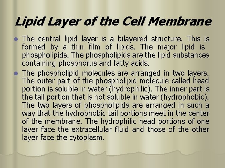 Lipid Layer of the Cell Membrane The central lipid layer is a bilayered structure.