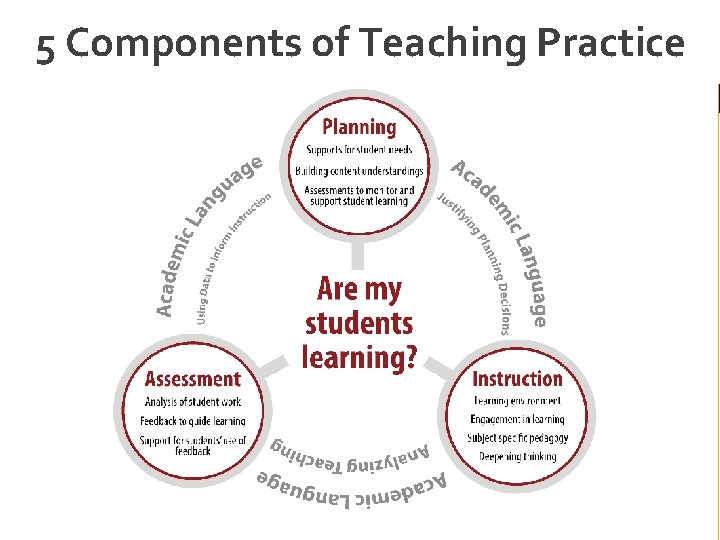 5 Components of Teaching Practice 