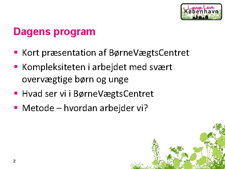 Dagens program § Kort præsentation af Børne. Vægts. Centret § Kompleksiteten i arbejdet med