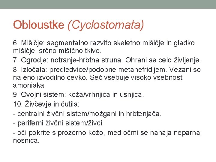 Obloustke (Cyclostomata) 6. Mišičje: segmentalno razvito skeletno mišičje in gladko mišičje, srčno mišično tkivo.