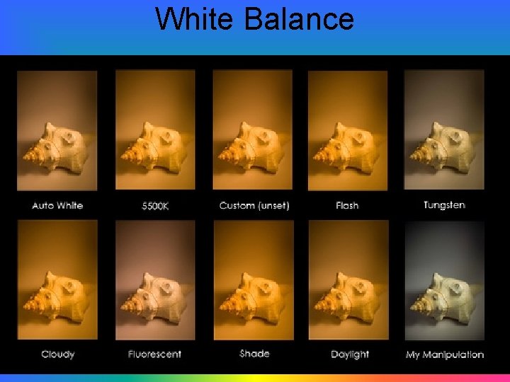 White Balance 
