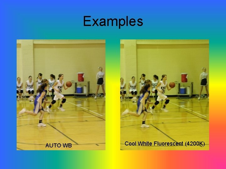 Examples AUTO WB Cool White Fluorescent (4200 K) 