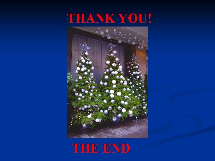 THANK YOU! THE END 