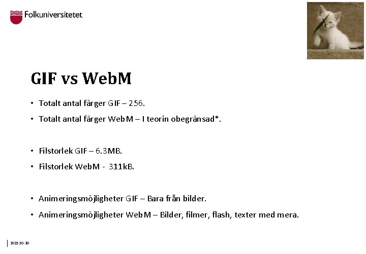 GIF vs Web. M • Totalt antal färger GIF – 256. • Totalt antal