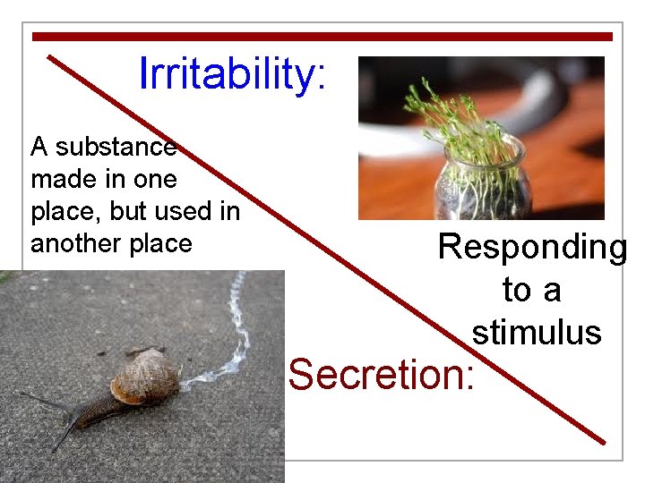 Irritability: A substance made in one place, but used in another place Responding to