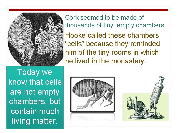 Cork seemed to be made of thousands of tiny, empty chambers. Hooke called these