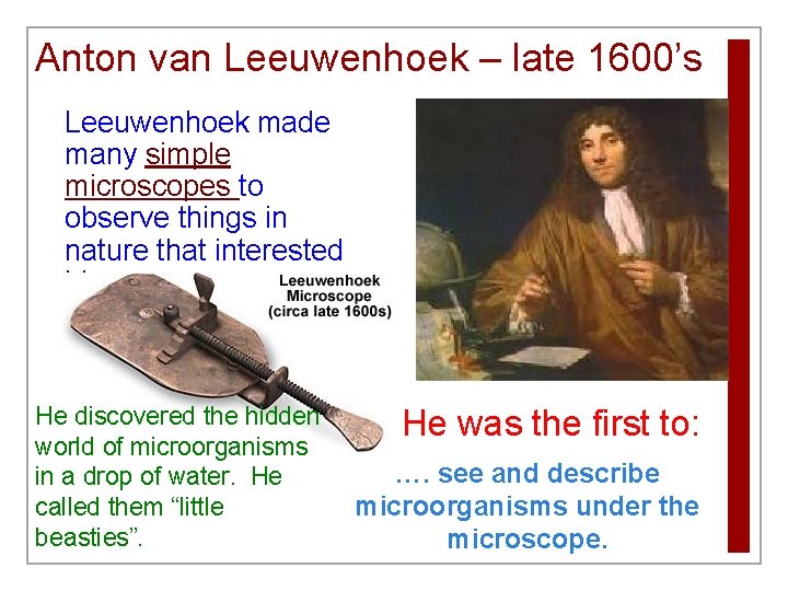 Anton van Leeuwenhoek – late 1600’s Leeuwenhoek made many simple microscopes to observe things